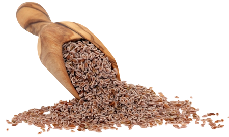 Psyllium