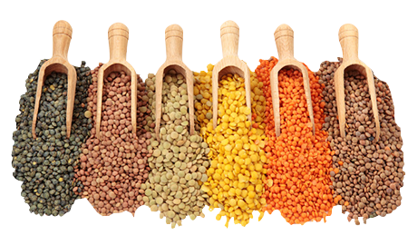 Pulses