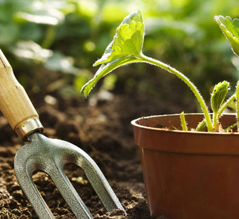 Agro Products