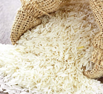 Rice