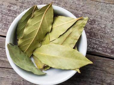 Bay Leaf