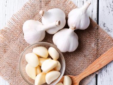 Garlic