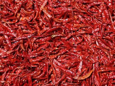 Red Chilli